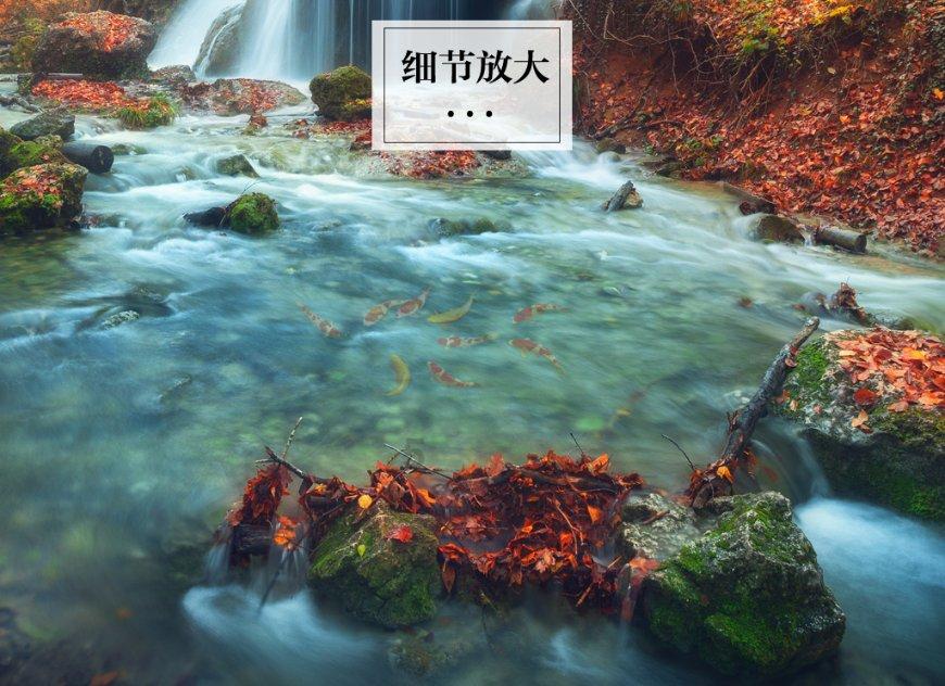 重磅！证监会优化融券机制 全面暂停限售股出借